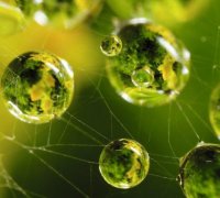 La physique, la médecine, la philosophie, la théologie : sur la condition extraordinaire de l’homme dans l’Univers (I)