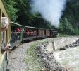 En balade avec le train nommé « mocăniţa » dans la vallée du Vaser.