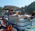 Détendus, pendant la mini-croisière sur le Danube.