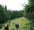 Au début de la montée vers Cioclovina de Sus, le lieu d’ermitage de mère Bartoloméa.