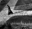 Photo : Andrei Rosetti