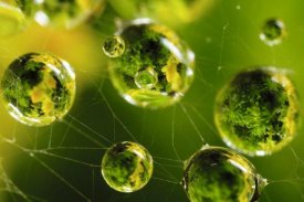 La physique, la médecine, la philosophie, la théologie : sur la condition extraordinaire de l’homme dans l’Univers (I)