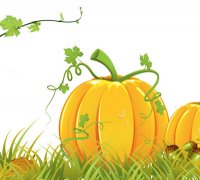 DOVLEACUL ȘI VIȚA DE VIE