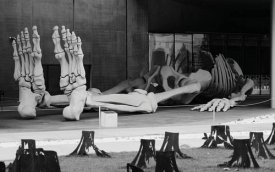 De ce vă este frică, puțin credincioșilor? (Matei 8, 26)(II)