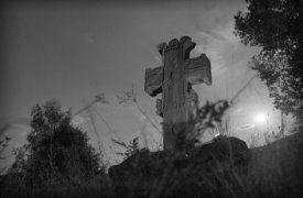 Limbajul lui Dumnezeu (II)